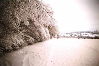 Schnee und Frost verleihen der Natur winterlichen Glanz